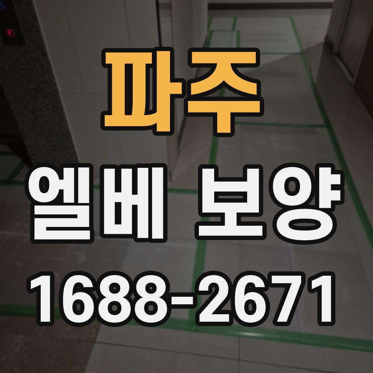 파주 엘베 보양