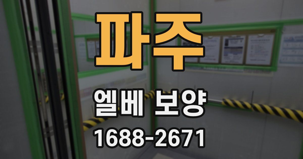 파주 엘베 보양