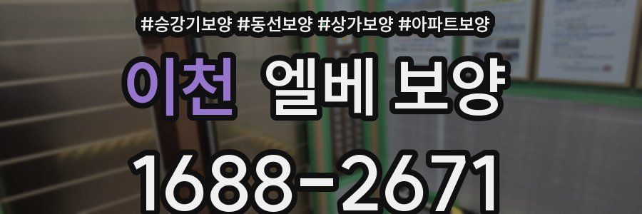 이천 엘베 보양