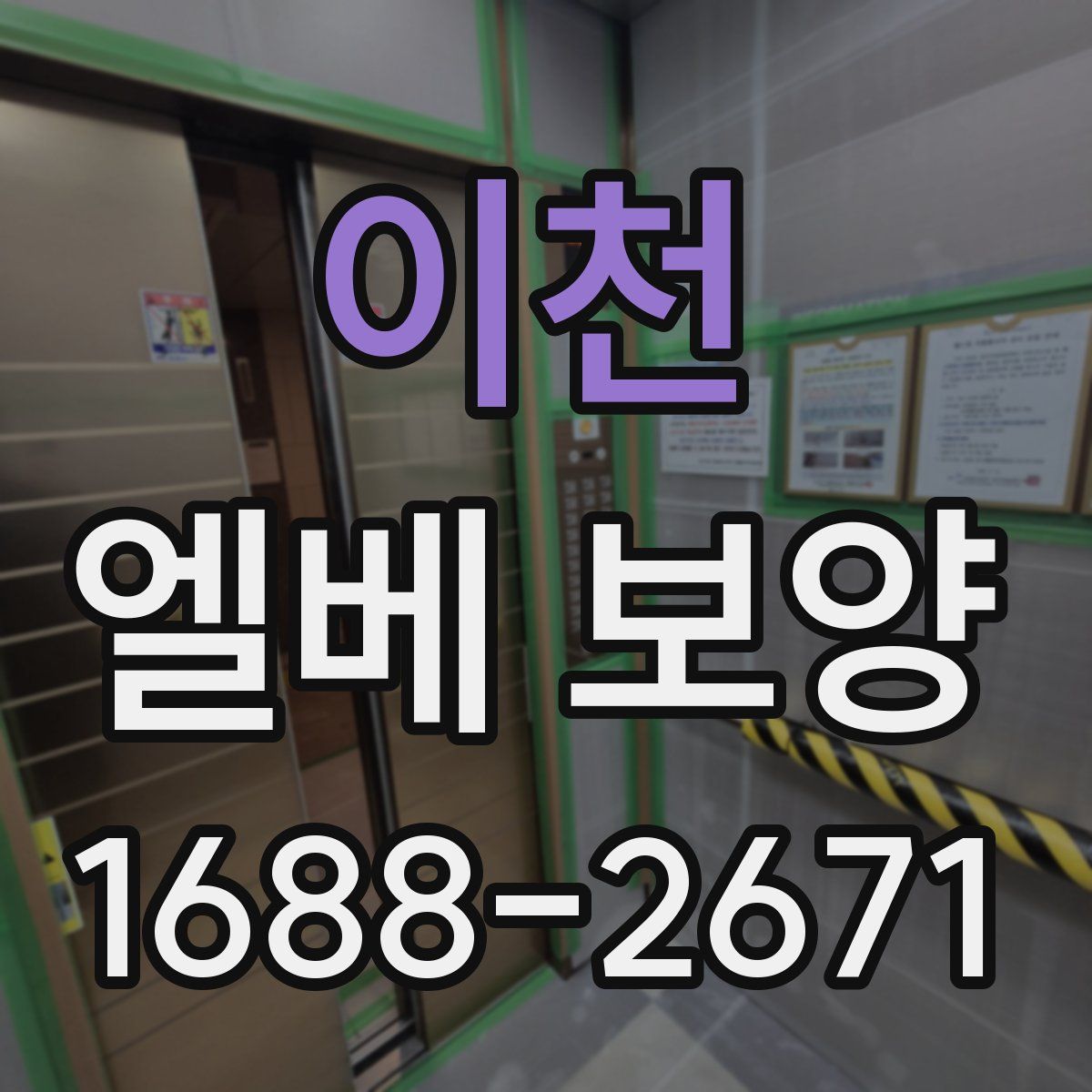 이천 엘베 보양