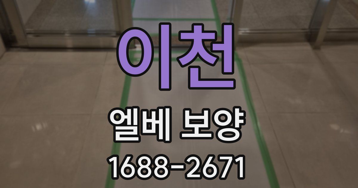 이천 엘베 보양