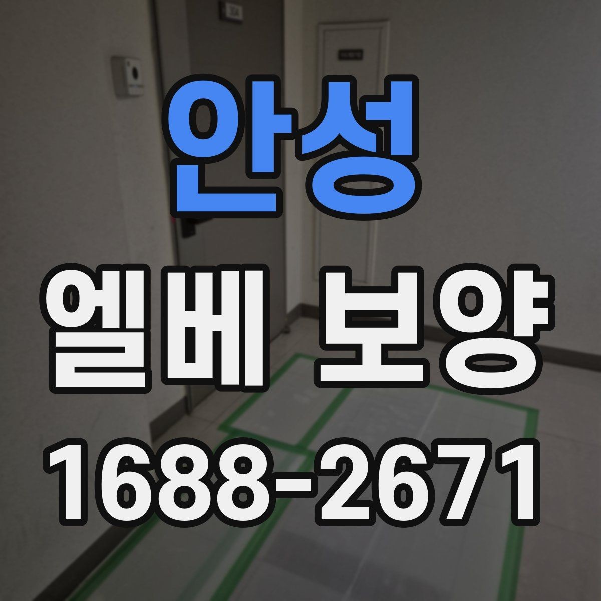 안성 엘베 보양 벽면 손상까지 고려한 작업 순서