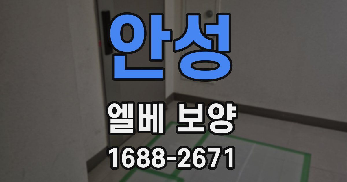 안성 엘베 보양