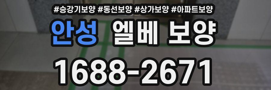 안성 엘베 보양