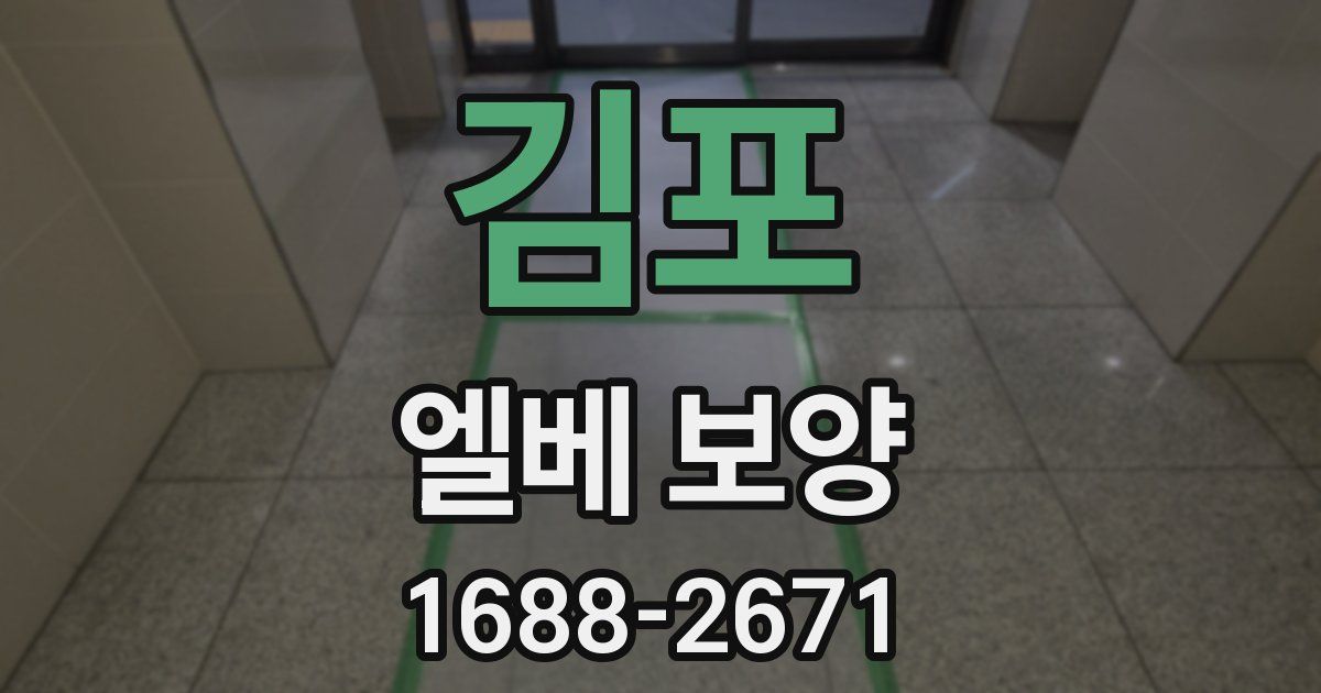 김포 엘베 보양