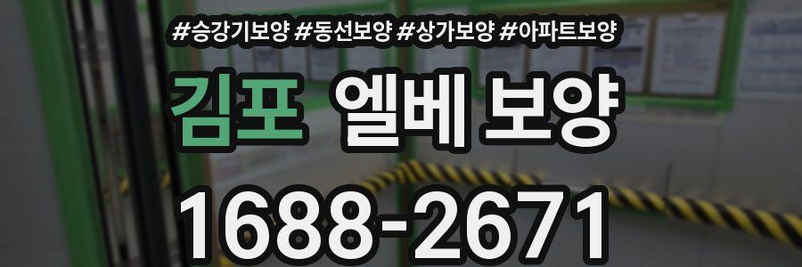 김포 엘베 보양