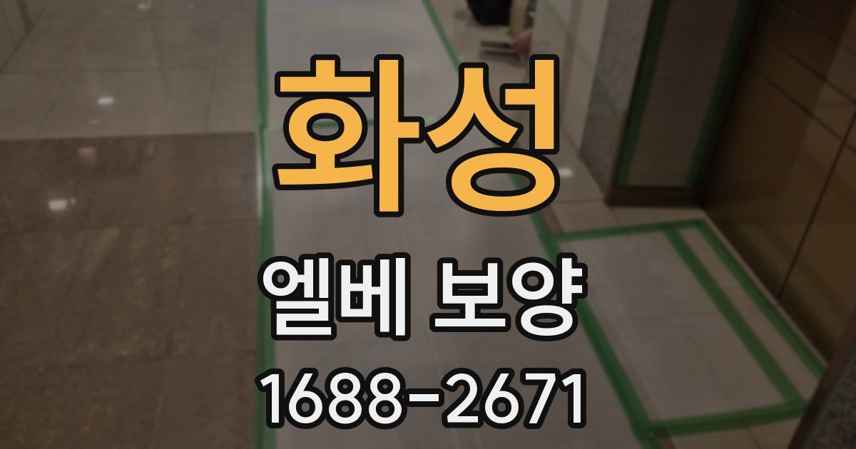 화성 엘베 보양