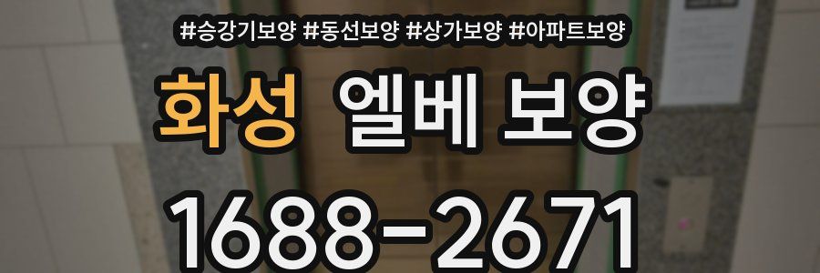 화성 엘베 보양