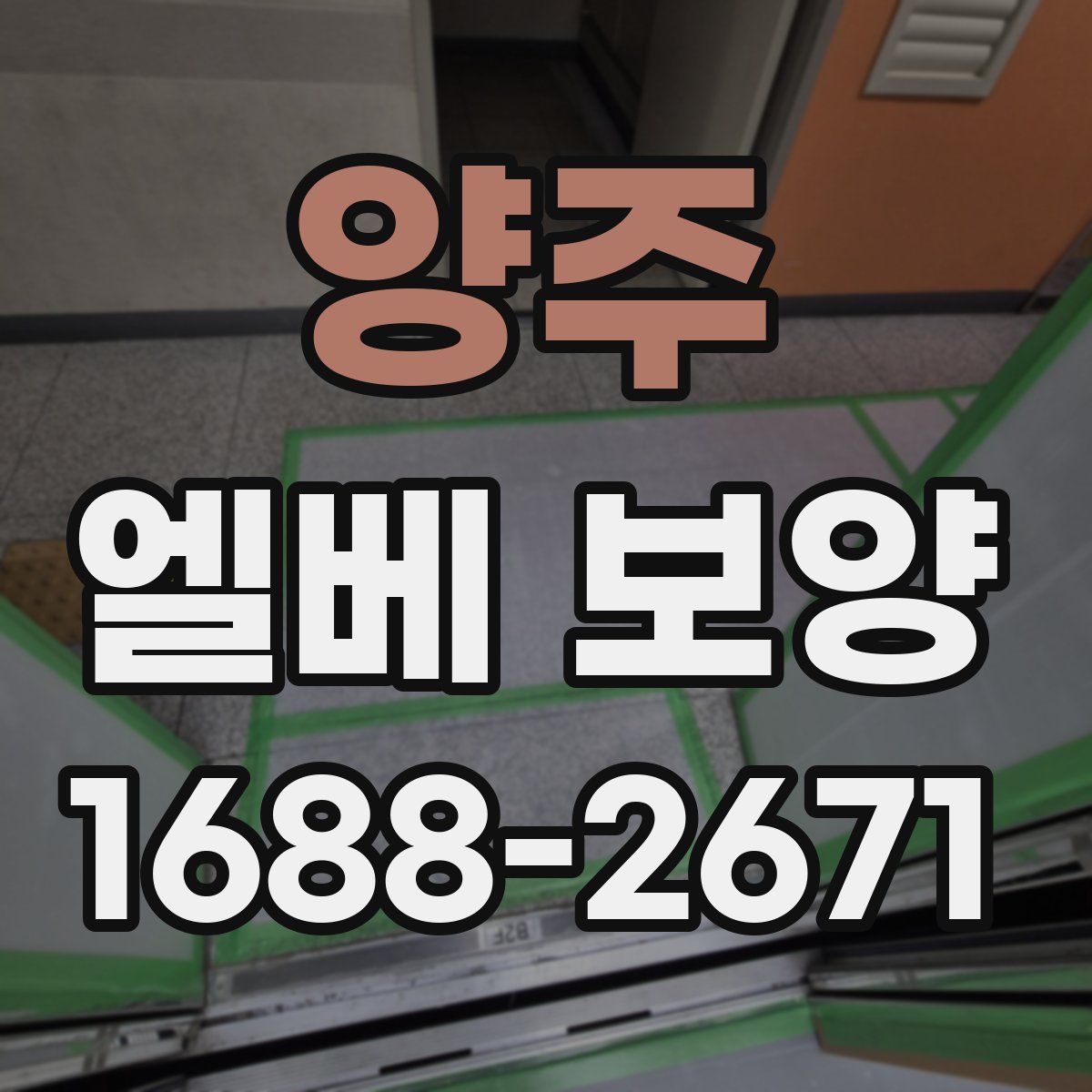 양주 엘베 보양