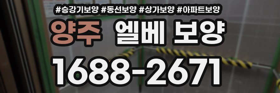 양주 엘베 보양