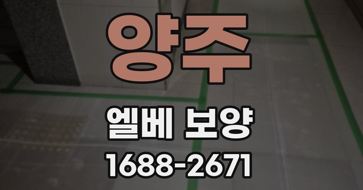 양주 엘베 보양