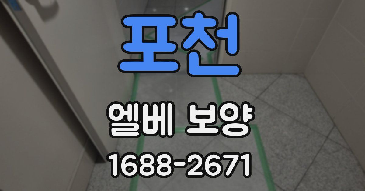 포천 엘베 보양