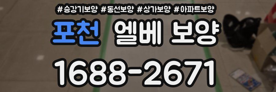 포천 엘베 보양