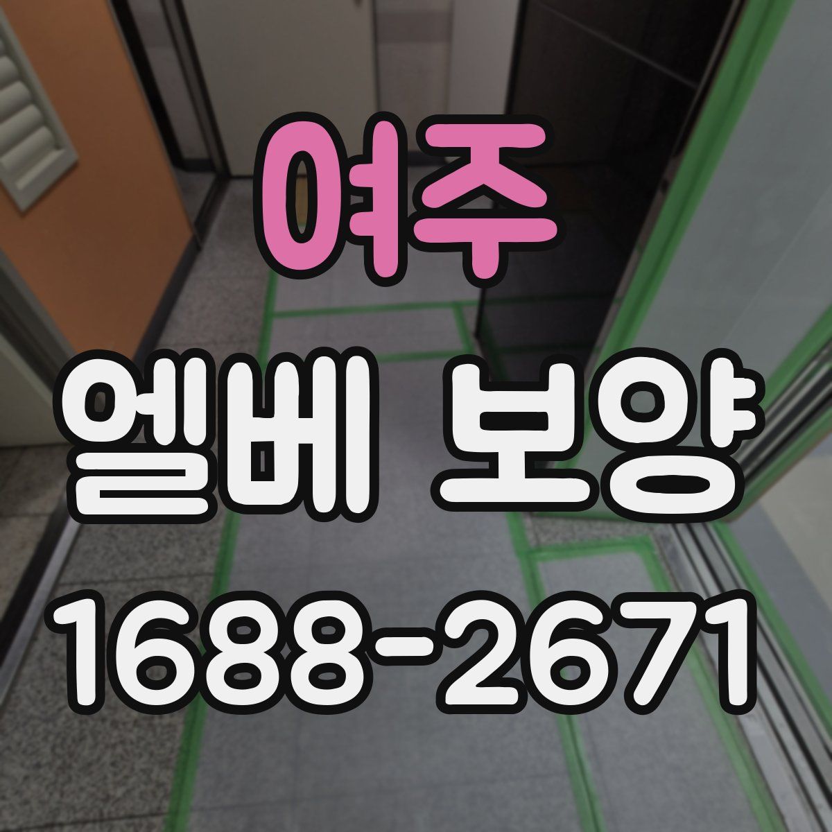 여주 엘베 보양