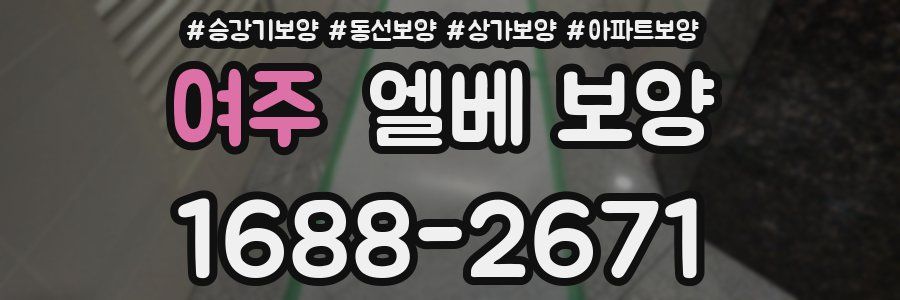 여주 엘베 보양