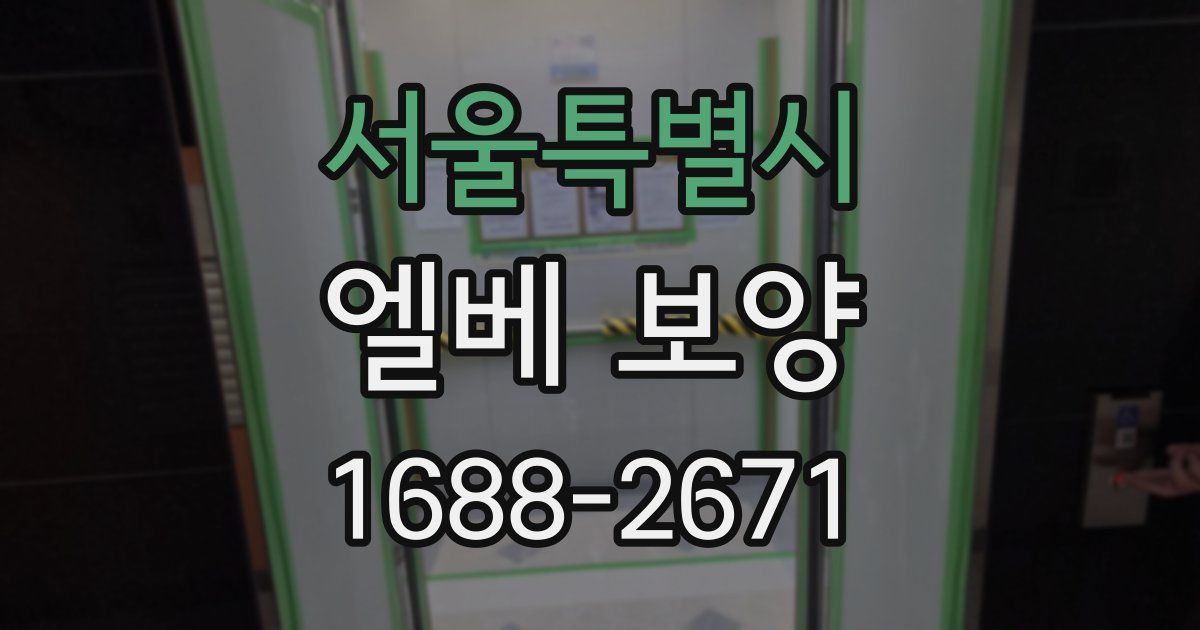 서울특별시 엘베 보양