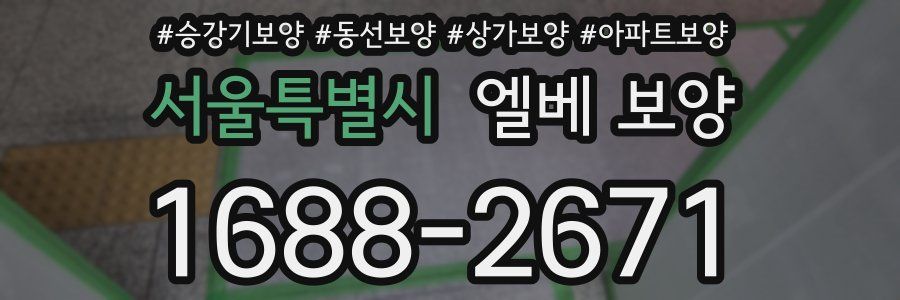서울특별시 엘베 보양