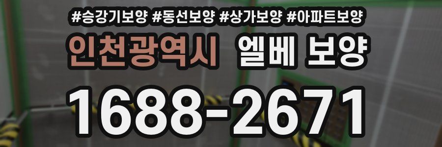 인천광역시 엘베 보양