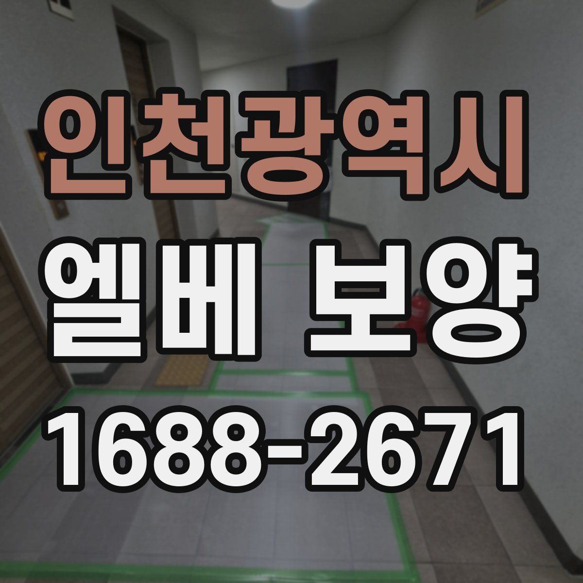 인천광역시 엘베 보양