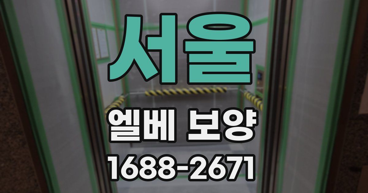 서울 엘베 보양