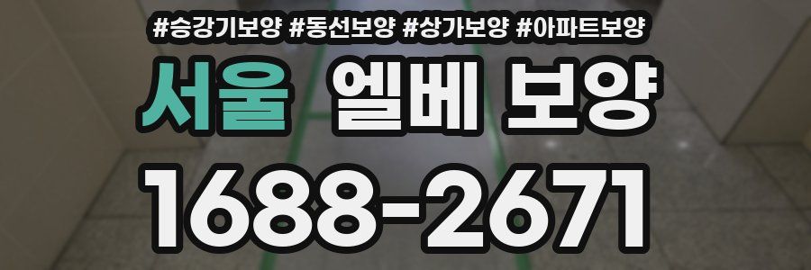 서울 엘베 보양
