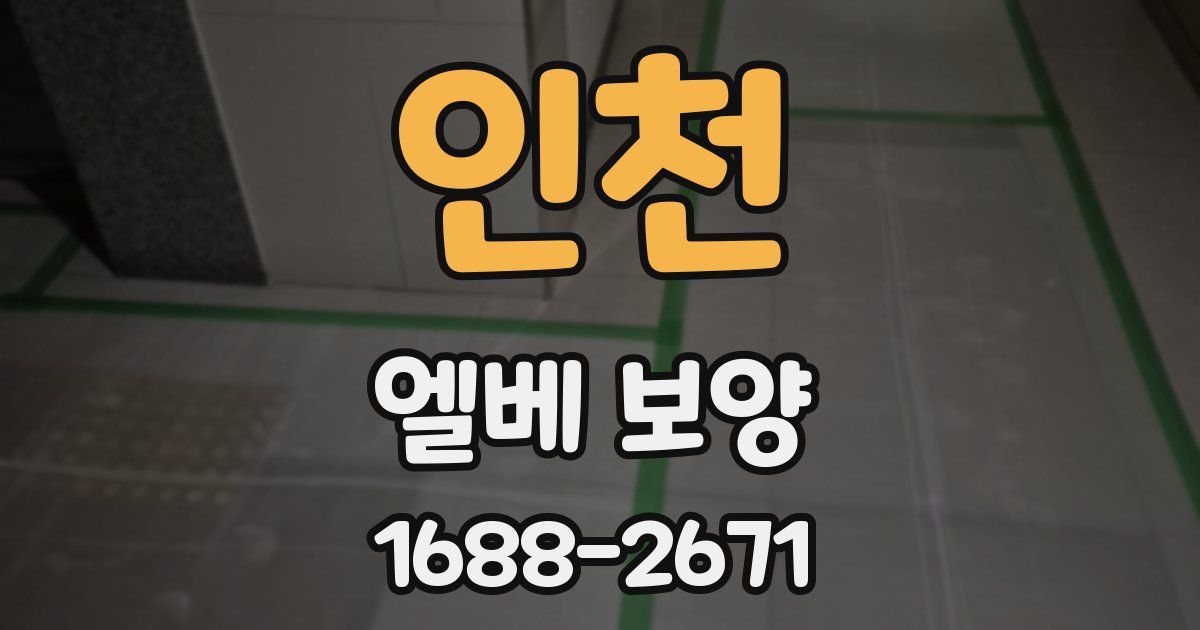 인천 엘베 보양