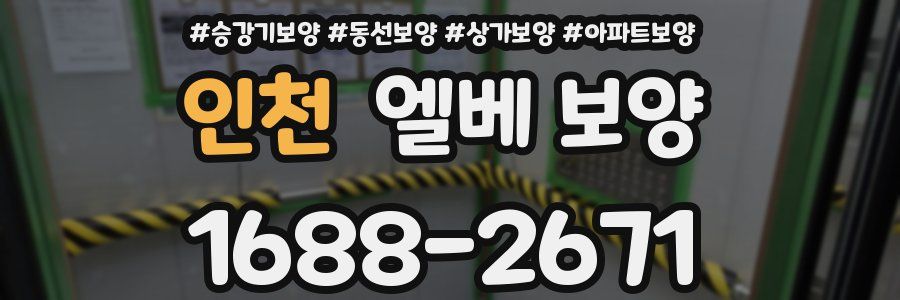 인천 엘베 보양
