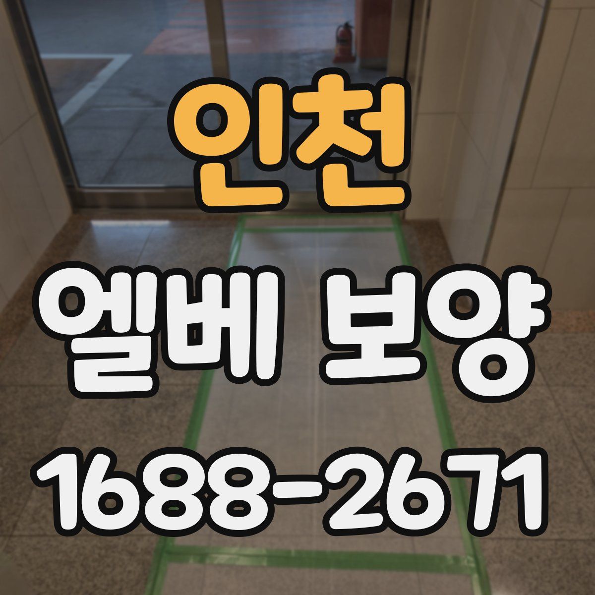인천 엘베 보양