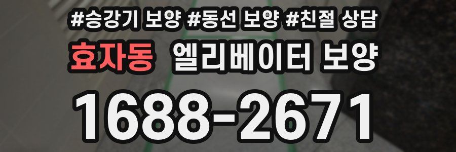 효자동 엘리베이터 보양