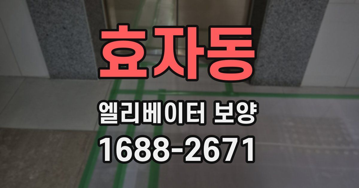 효자동 엘리베이터 보양