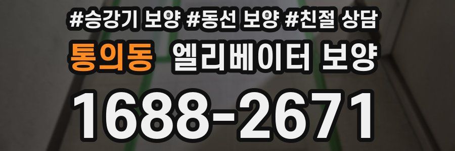 통의동 엘리베이터 보양