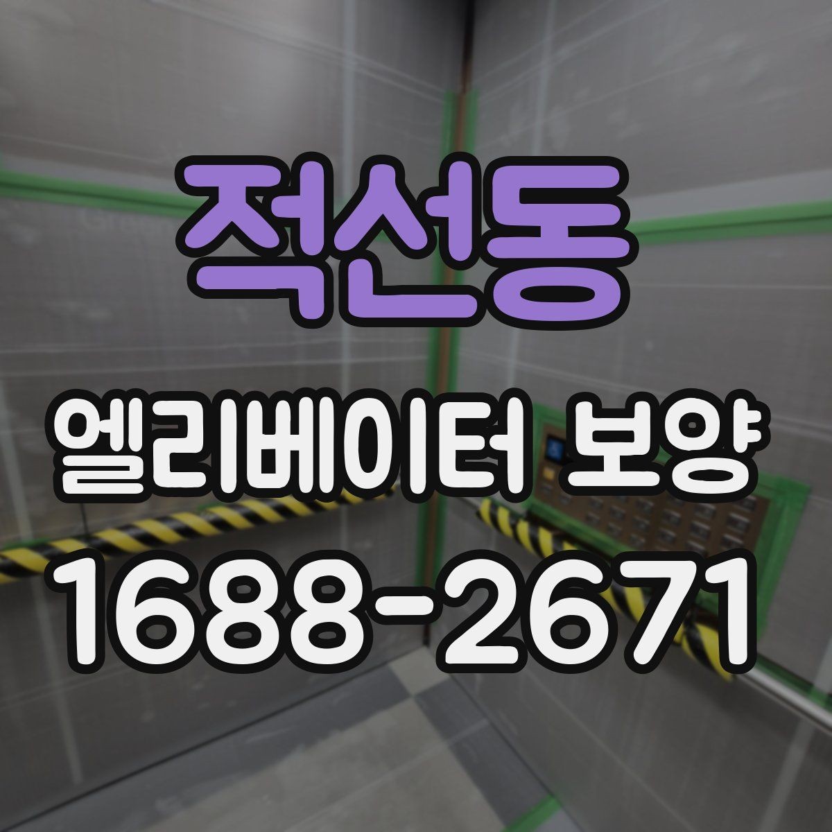 적선동 엘리베이터 보양 종류별 특징과 활용 상황