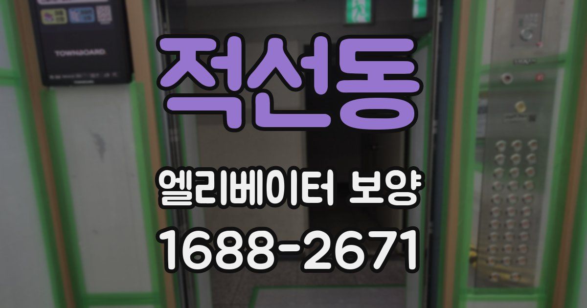 적선동 엘리베이터 보양