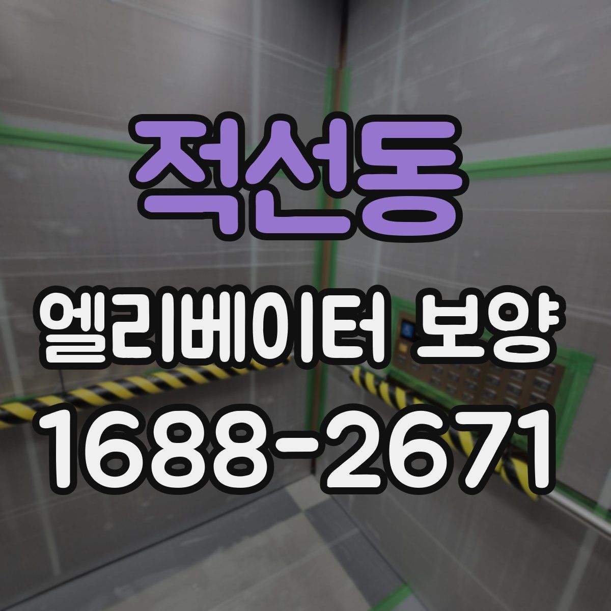 적선동 엘리베이터 보양