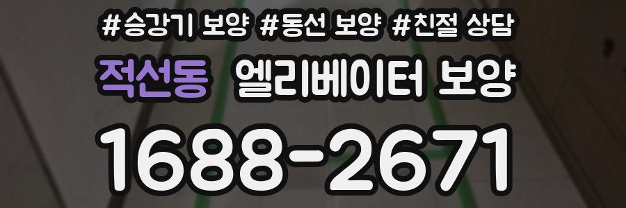 적선동 엘리베이터 보양