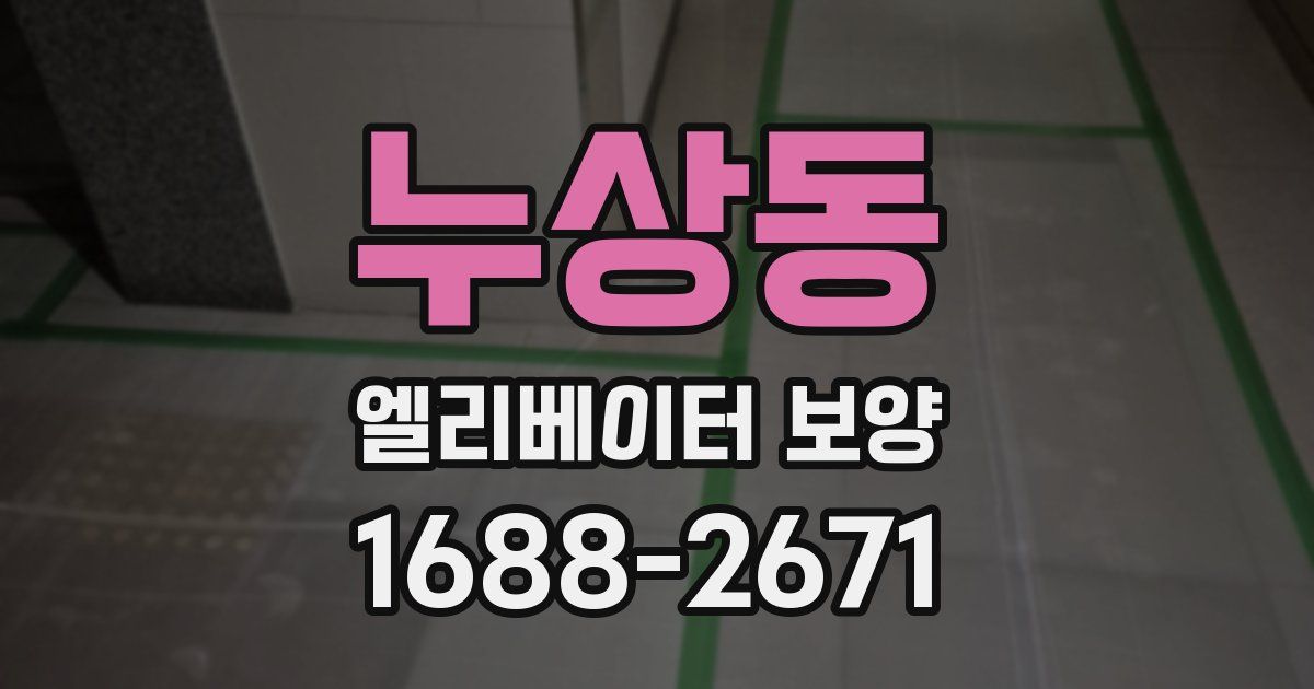 누상동 엘리베이터 보양