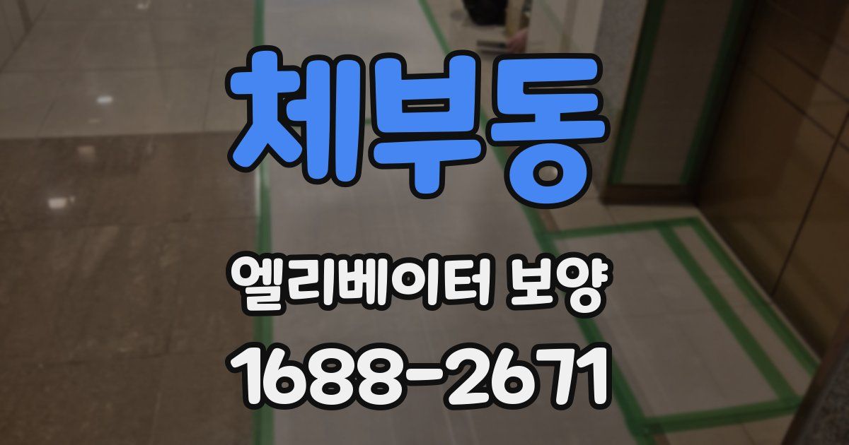 체부동 엘리베이터 보양