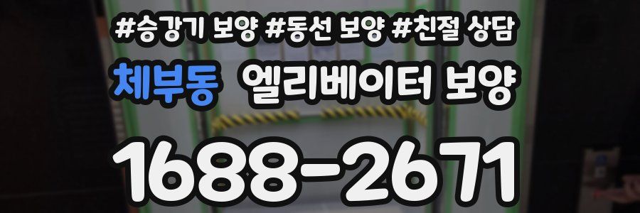 체부동 엘리베이터 보양