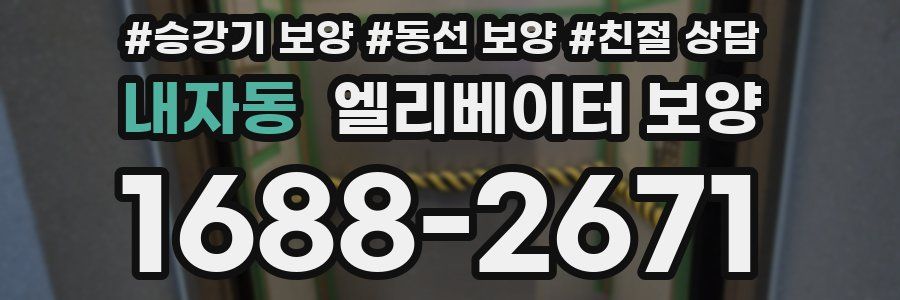 내자동 엘리베이터 보양