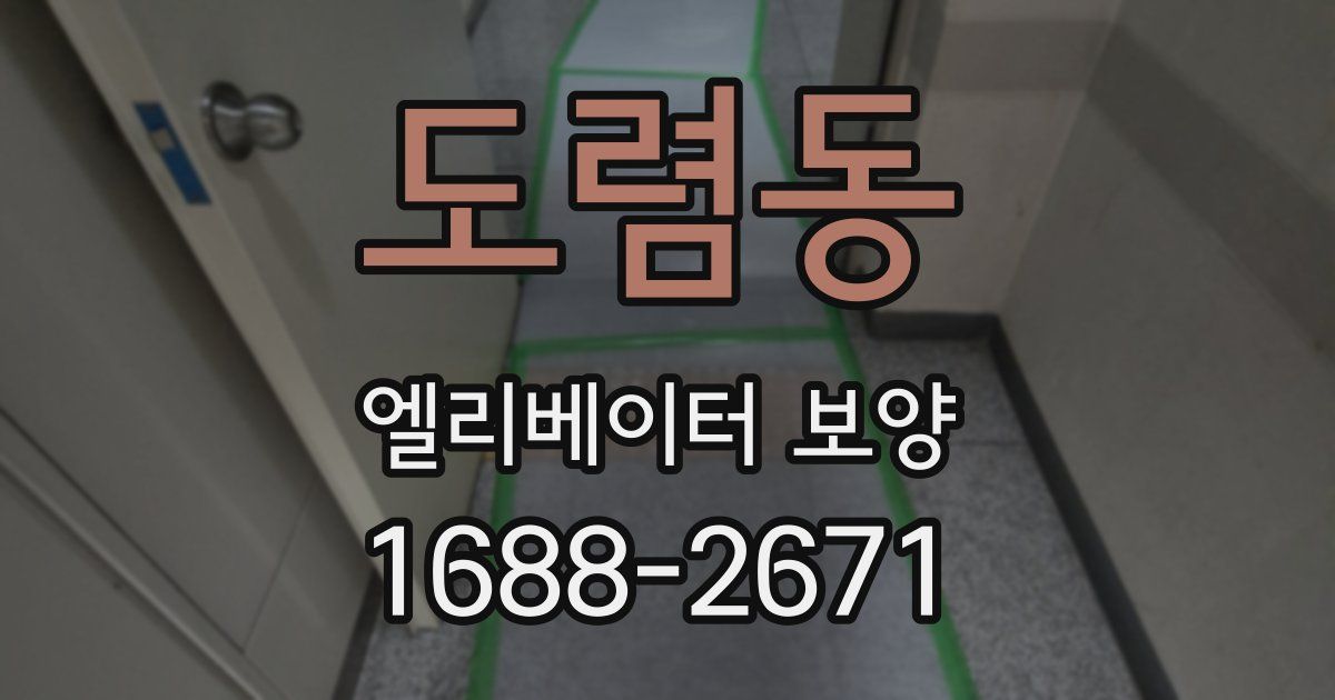 도렴동 엘리베이터 보양
