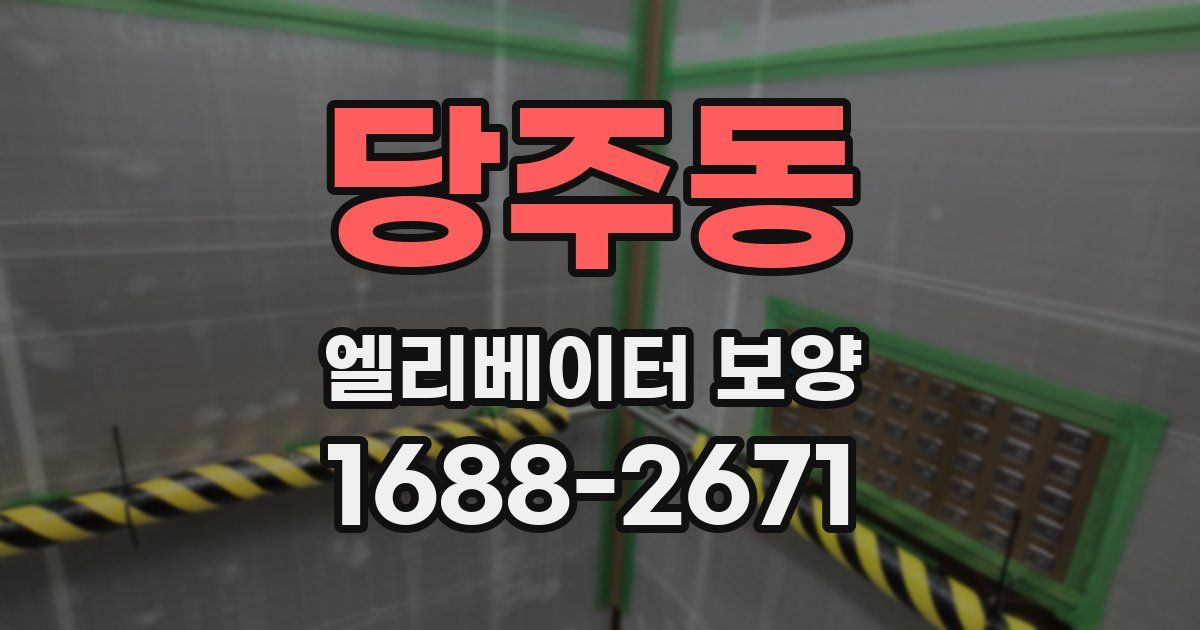 당주동 엘리베이터 보양