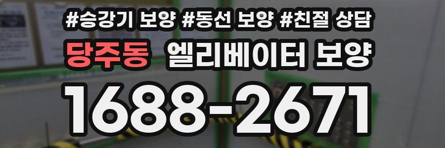 당주동 엘리베이터 보양