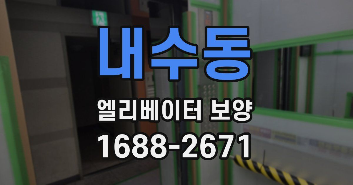 내수동 엘리베이터 보양