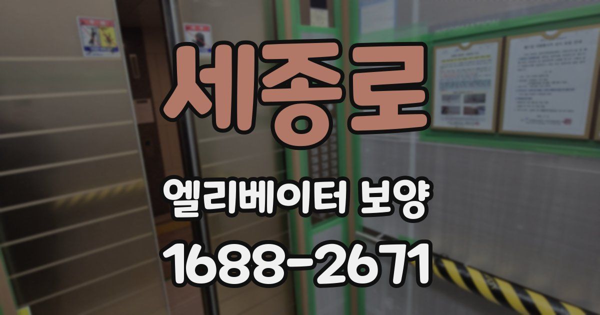 세종로 엘리베이터 보양