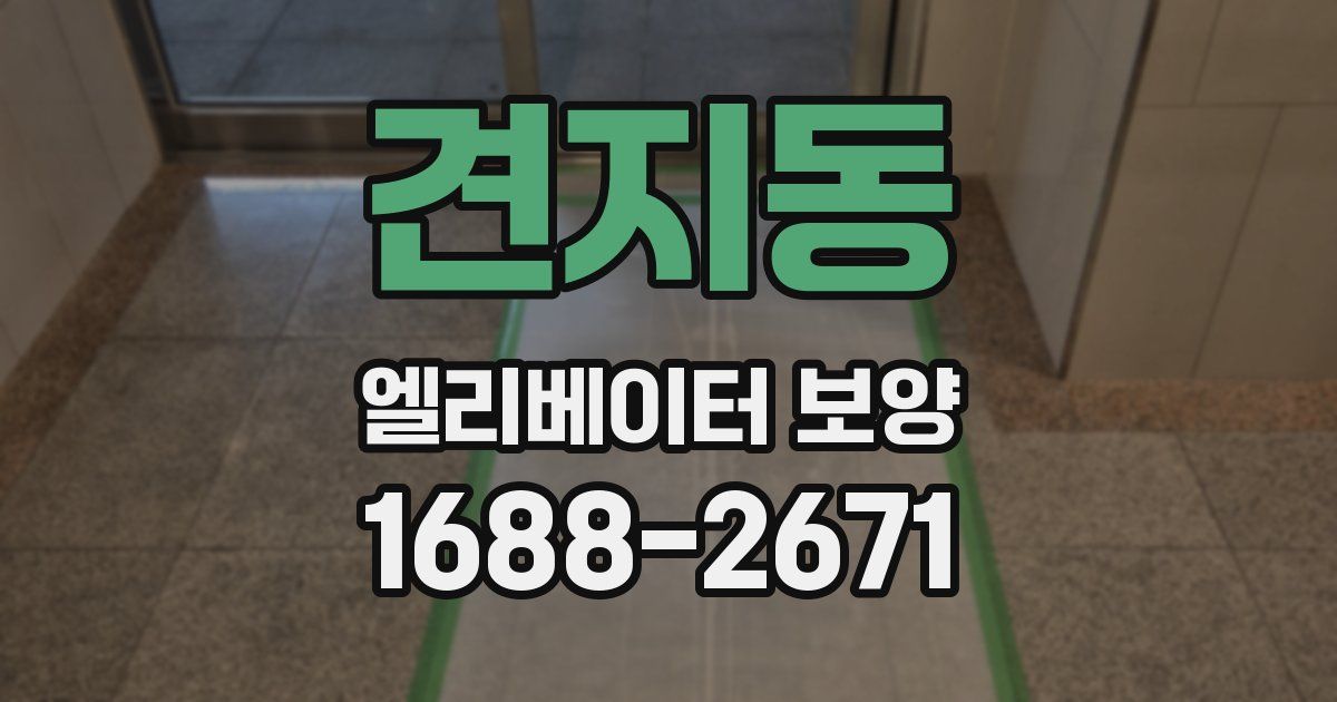 견지동 엘리베이터 보양