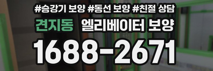 견지동 엘리베이터 보양