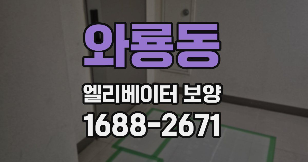 와룡동 엘리베이터 보양