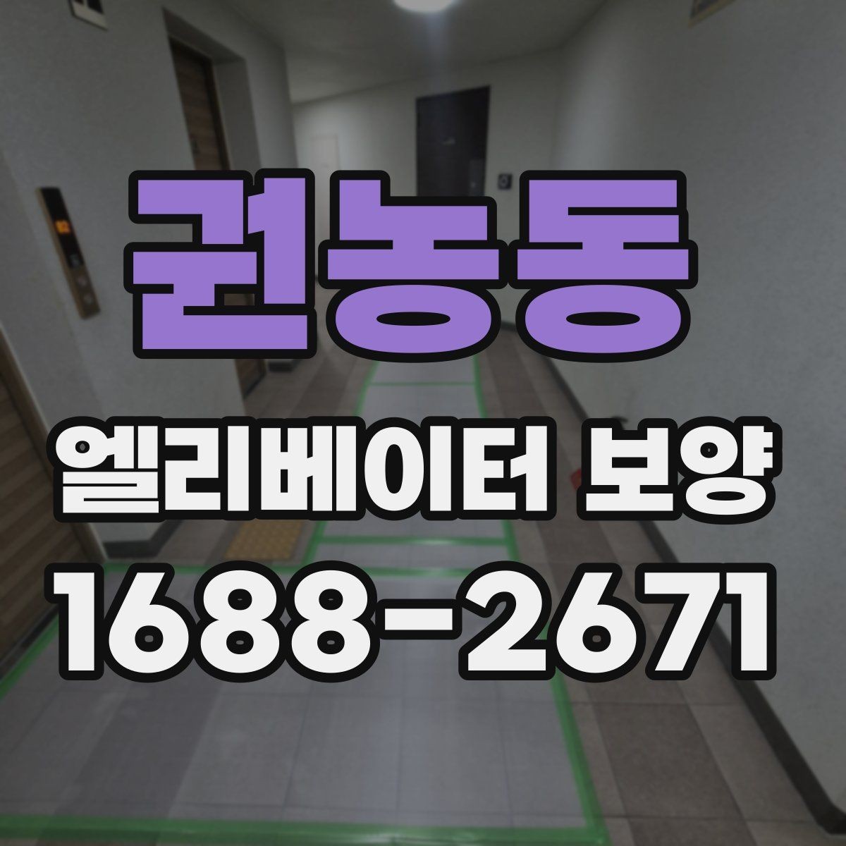 권농동 엘리베이터 보양 현장별 맞춤 적용 사례