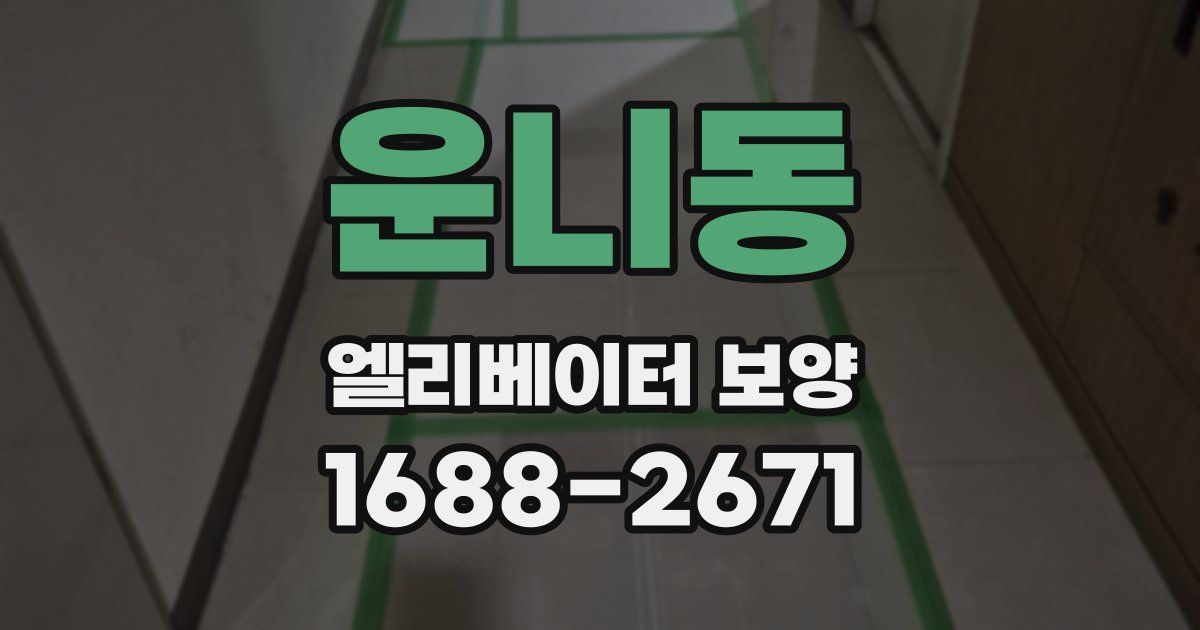 운니동 엘리베이터 보양