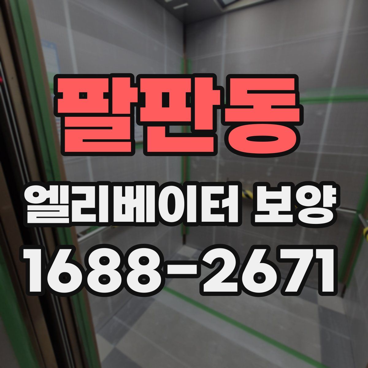 팔판동 엘리베이터 보양